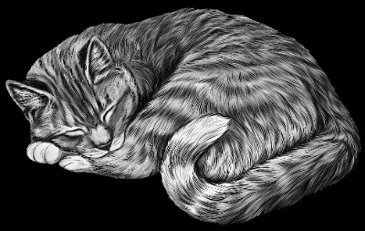 «Кот» — картинка для гравировки на памятнике, № 458