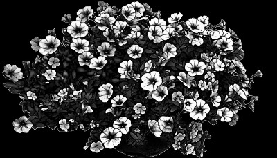 «Munro flowers» — картинка для гравировки на памятнике, № 2110