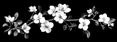 «Веточка яблони 5203» — картинка для гравировки на памятнике, № 2173