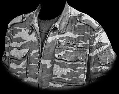 «Камуфляж (4)» — картинка для гравировки на памятнике, № 302