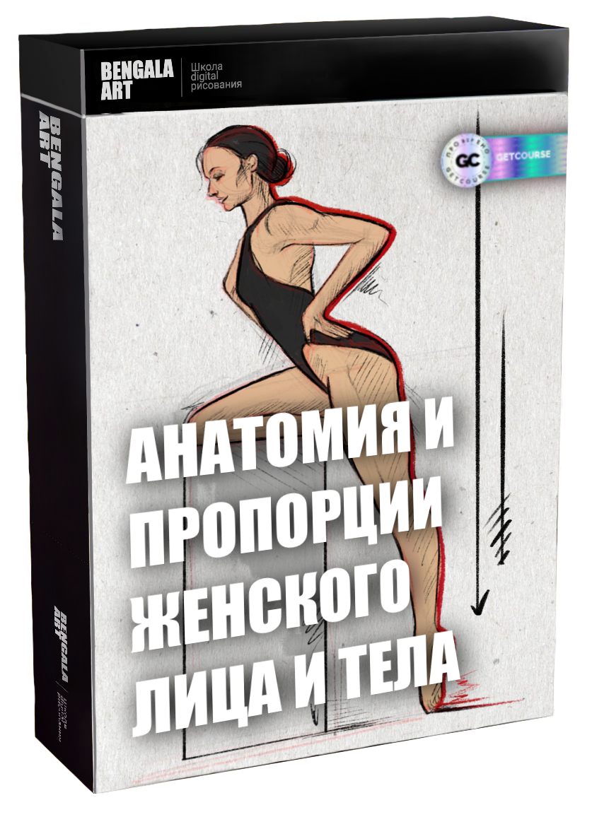 Анатомия и пропорции женского лица и тела