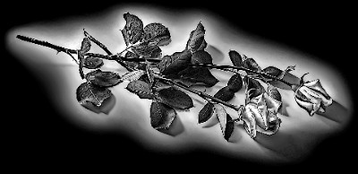 «Розы лежат на столе» — картинка для гравировки на памятнике, № 2363