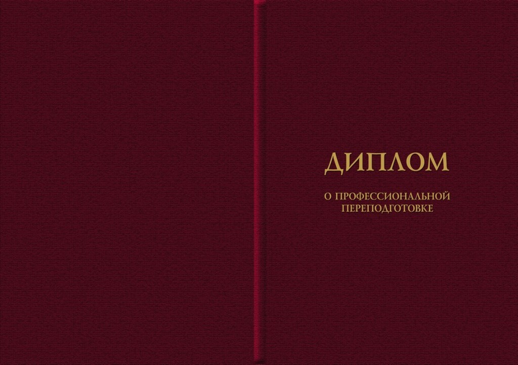 Диплом государственного образца школы Bengalart