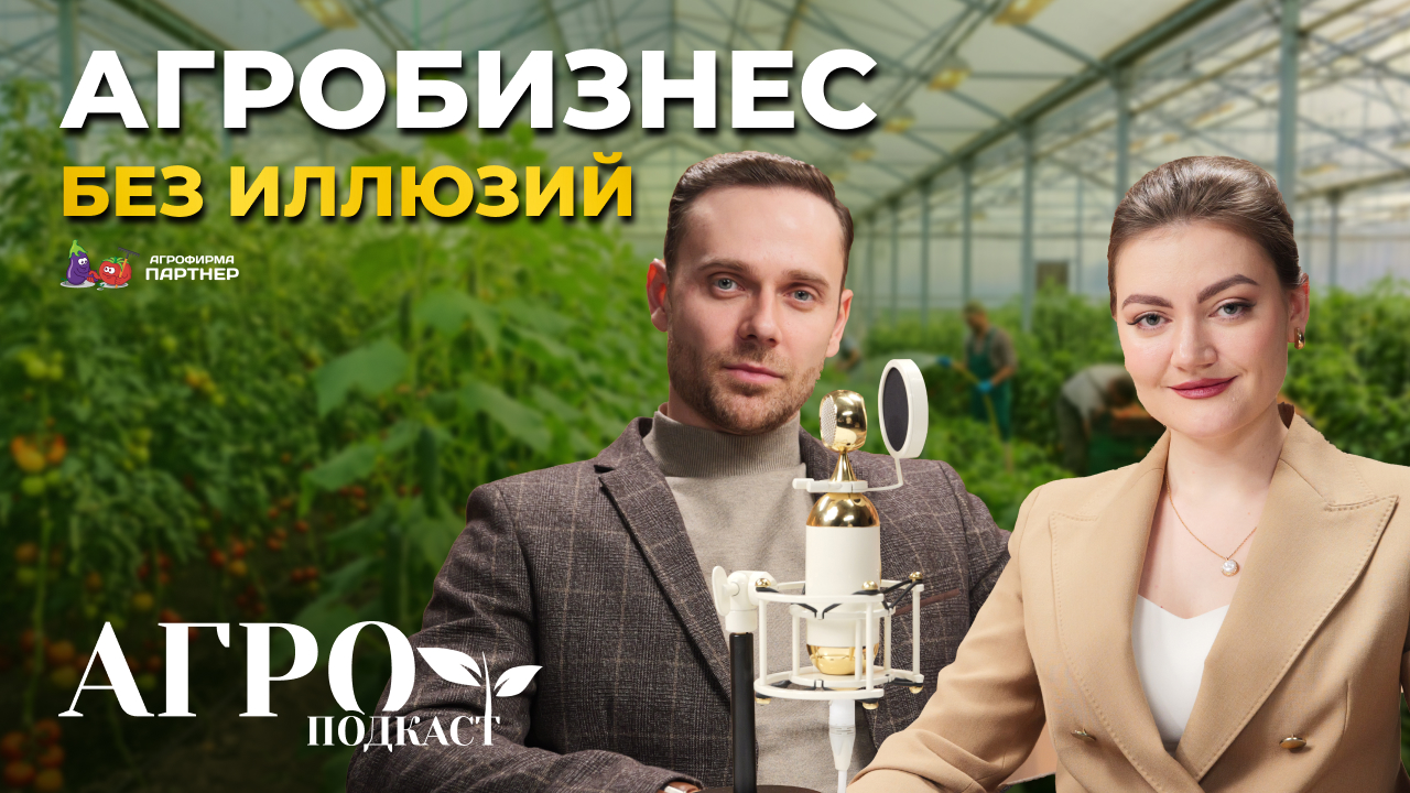 Видео 1