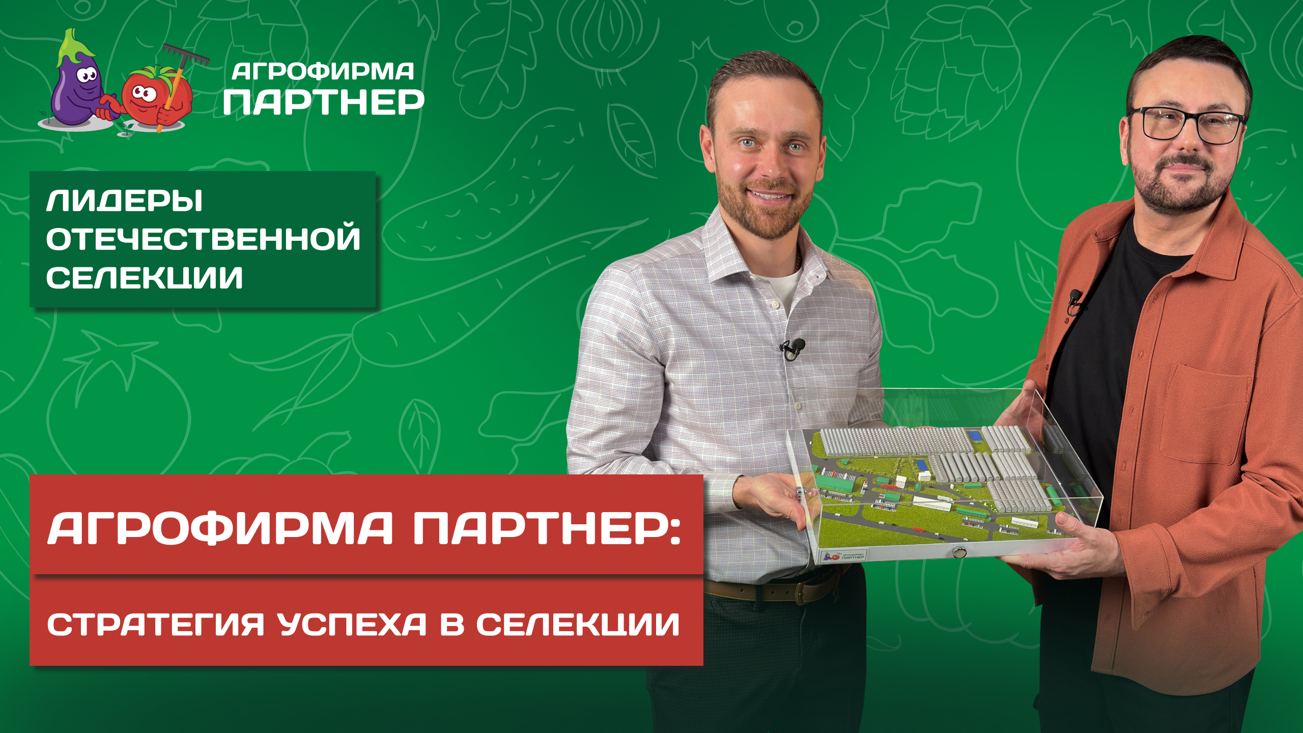 Видео 2