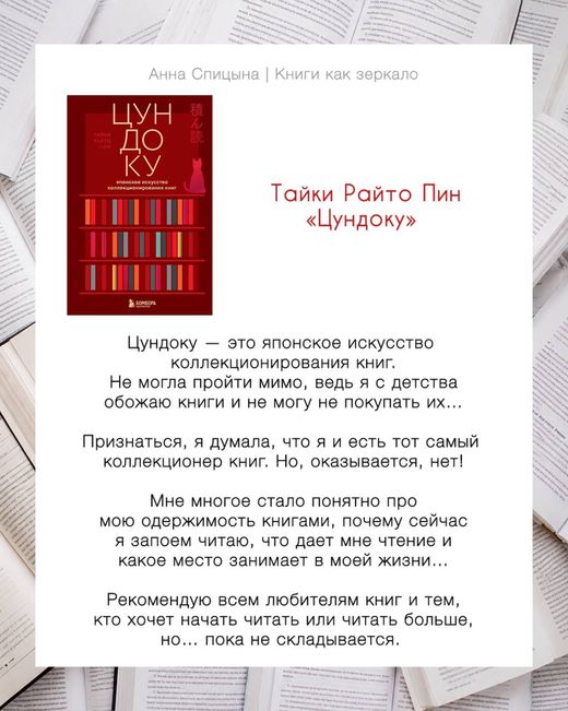 Отзыв Анны Спицыной: Тайки Райто Пин «Цундоку», оценка 10 из 10